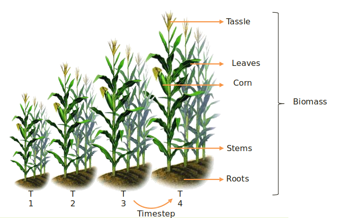 Biomass