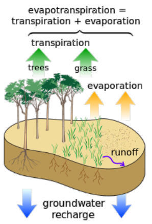 Evapotranspiration